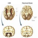해마수학 이미지