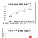 주식회사 푸른헬스케어