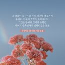 [CTS 말씀이미지] 요한복음 1장 14절 #말씀이미지 #감경철 #CTS #핸드폰배경화면 이미지