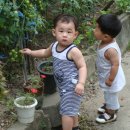 한솔어린이집 이미지