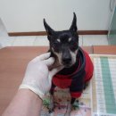 양강중학교 앞 이미지