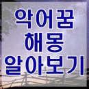 악어꿈 해몽 새끼악어꿈 악어떼꿈 악어잡는꿈 악어죽이는꿈 등 악어 나오는 꿈 이미지