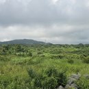 동아목장 이미지