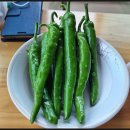 수우농장 이미지