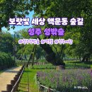 8/15~17/부산 광안대교 환상요트와 드론불꽃축제 해수욕 허심청 온천 용궁구름다리 이미지