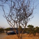 서부농장 이미지