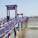 반월도퍼플펜션 이미지