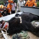 친한농장 이미지