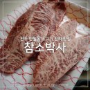 참소박사 이미지