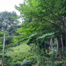 CU 강화마니산점 | 강화도 함허동천 야영장