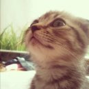 늘푸른동물병원 이미지