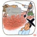 누렁소 이미지