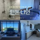 펜톤나인 이미지