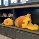 쿠쿠펫(KOOKOOPET) 이미지