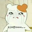 두루두루 이미지