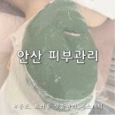 안산피부관리 합리적 가격으로 효과 좋은 홍조 맞춤관리 에스테틱 더맑은스킨 안산중앙점