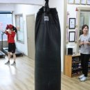 엑투 복싱 네이버블로그