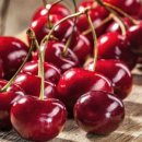 체리 이미지
