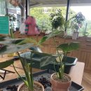 라운지서울 이미지