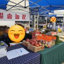 일송농장 이미지