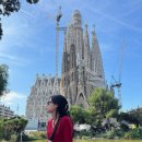 성경약국 | 내돈내산 가우디투어 2편/ 가우디 반일투어/ 그녀의 바르셀로나 솔직후기/ 사그리다파밀리아성당 내부 입장