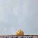 성주농장 | [경북 여행]성주 참외체험형테마공원 어린이체험관