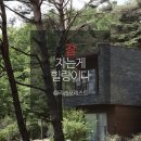 포레스트리솜 이미지