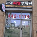 메가푸르지오공인중개사사무소 네이버블로그