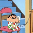 동네강아지 | 서울 고양이 스케일링 병원 추천 가격 상세 후기