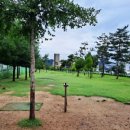 세천강변 이미지