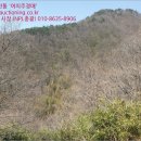 동당리농원 네이버블로그