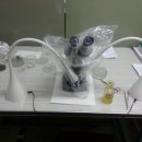 꿀벌 동물병원 이미지