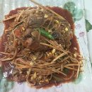 잘뎀