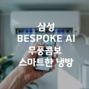 BESPOKE AI 무풍콤보 갤러리 AF80F18D25WRT: 최고의 스마트 에어컨
