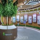 평화교통(주) 이미지