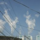 경성식당 이미지