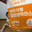 (주)에스엠에너지 | 에이치엘 KF94 새부리형 컬러마스크 50매 솔직후기 (ft. 쌍둥이와 함께)