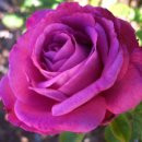 목동한의원 이미지