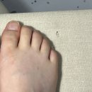 화목데파트(상가) | 해운대패디 장산역네일 여름패디큐어 페디큐어 영네일 방문후기 여름맞이 꽃단장 부산페디큐어