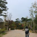 포시즌어데이 이미지