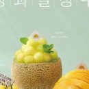 옐로우팜