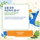 "요즘 유독 피곤하지 않니?" 도토리 먹고 자란 굼벵이환 챙겨 먹은 솔직 후기!