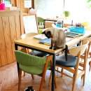 여수 INN 이미지