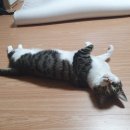 아이조아요양보호소 동탄점 이미지