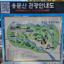 용문산자연휴양림 | 양평 용문산 용문사 은행나무(주차 난이도 최상)