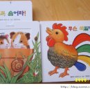 토들 이미지