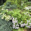 고요산책 | 가평 아침고요수목원 우중산책 후기◡̈ 🍃🌲