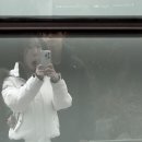 바람남 강아지 이미지