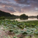 와우호수공원 이미지