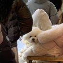 뮤베이크 | 세종 뮤베이크 두쫀쿠 두바이초코휘낭시에 오픈런 후기
